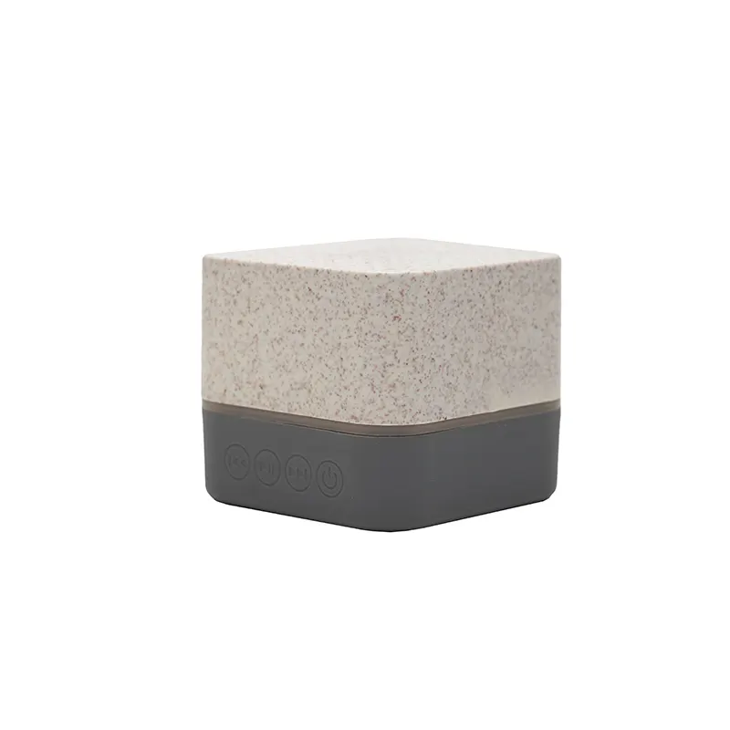 Parlante Wireless Earth